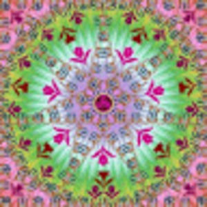 Meet your Posher, Lizbeth